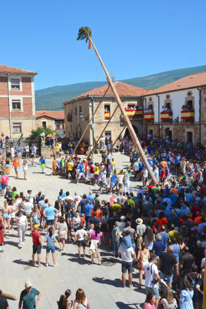 Pingada del Mayo en Vinuesa para iniciar las fiestas de 2023.