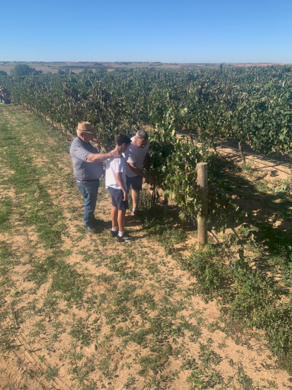 Nueva bodega ubicada en el corazón de la Ribera del Duero soriana