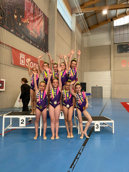 Gimnastas del CG Duero en el Provincial.