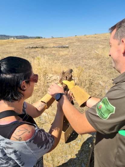 Los agentes medioambientales cuidaron hasta su recuperación a los animales