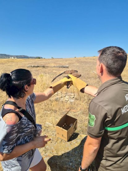 Los agentes medioambientales cuidaron hasta su recuperación a los animales