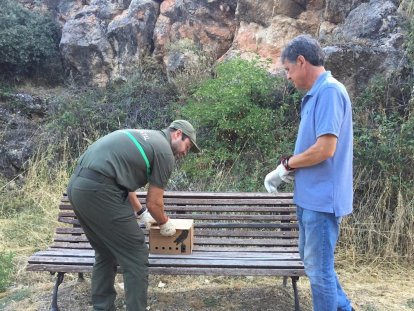 Los agentes medioambientales cuidaron hasta su recuperación a los animales
