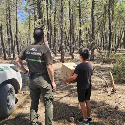Los agentes medioambientales cuidaron hasta su recuperación a los animales