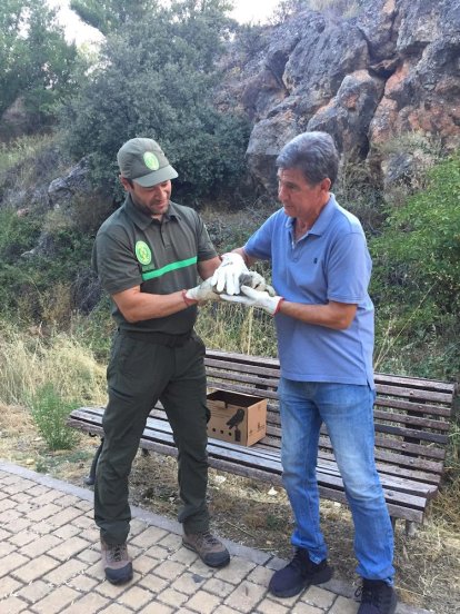 Los agentes medioambientales cuidaron hasta su recuperación a los animales