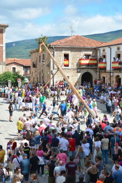 La pingada del mayo de Vinuesa da el pistoletazo de salida a sus fiestas de la Virgen del Pino y San Roque 2024.