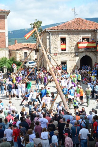 La pingada del mayo de Vinuesa da el pistoletazo de salida a sus fiestas de la Virgen del Pino y San Roque 2024.