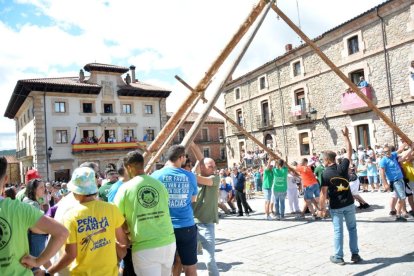 La pingada del mayo de Vinuesa da el pistoletazo de salida a sus fiestas de la Virgen del Pino y San Roque 2024.