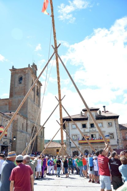 La pingada del mayo de Vinuesa da el pistoletazo de salida a sus fiestas de la Virgen del Pino y San Roque 2024.