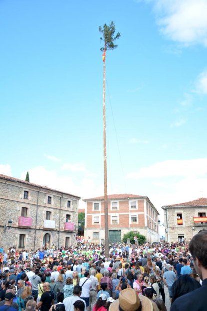 La pingada del mayo de Vinuesa da el pistoletazo de salida a sus fiestas de la Virgen del Pino y San Roque 2024.