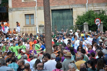 La pingada del mayo de Vinuesa da el pistoletazo de salida a sus fiestas de la Virgen del Pino y San Roque 2024.