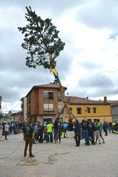 Duruelo ya disfruta de las fiestas del Santo Cristo de las Maravillas 2024.