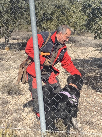 Caza de la trufa con perro.