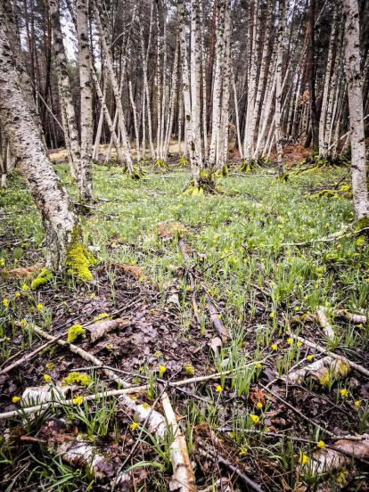 Un recorrido espectacular en estas épocas