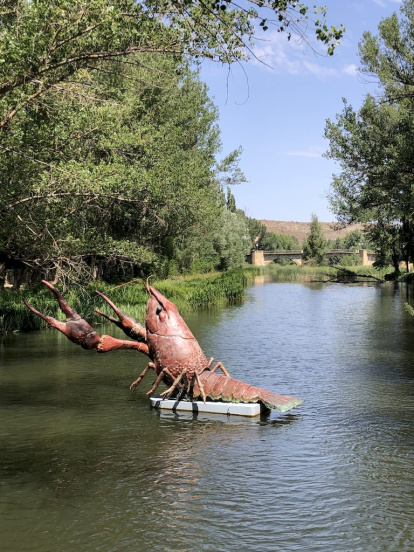 Río Duero. Montserrat Cruz