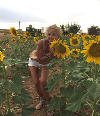 ‘Los girasoles de Mentxu’. Fuentepinilla. Rafael Ariza Guillén