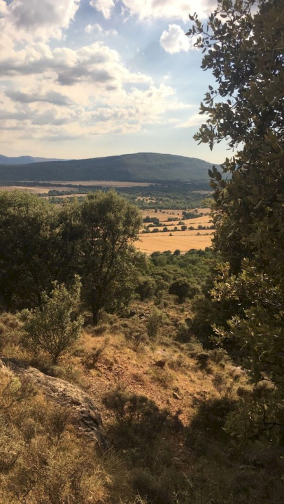 Valle del Cintura. Reyes García Saenz de Tejada
