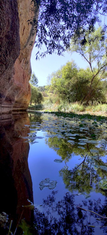 Río Lobos. Marina Flores del Prado