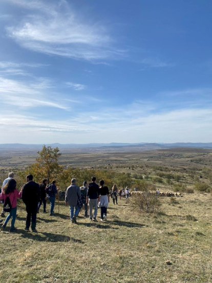 Las fotos de la jornada de la trashumancia en Castilfrío (9)