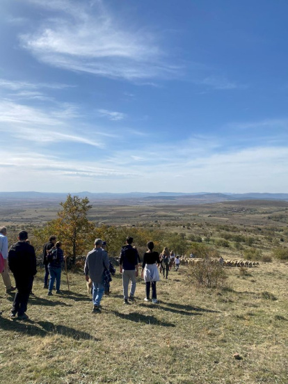 Las fotos de la jornada de la trashumancia en Castilfrío (12)