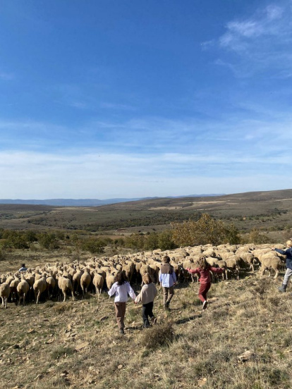 Las fotos de la jornada de la trashumancia en Castilfrío (14)