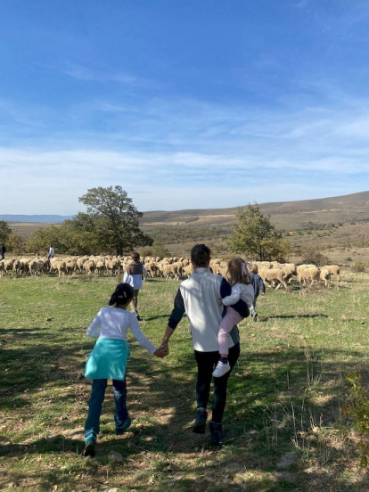 Las fotos de la jornada de la trashumancia en Castilfrío (17)