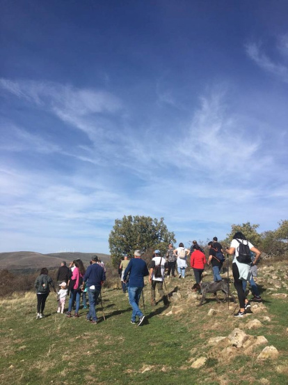 Las fotos de la jornada de la trashumancia en Castilfrío (48)
