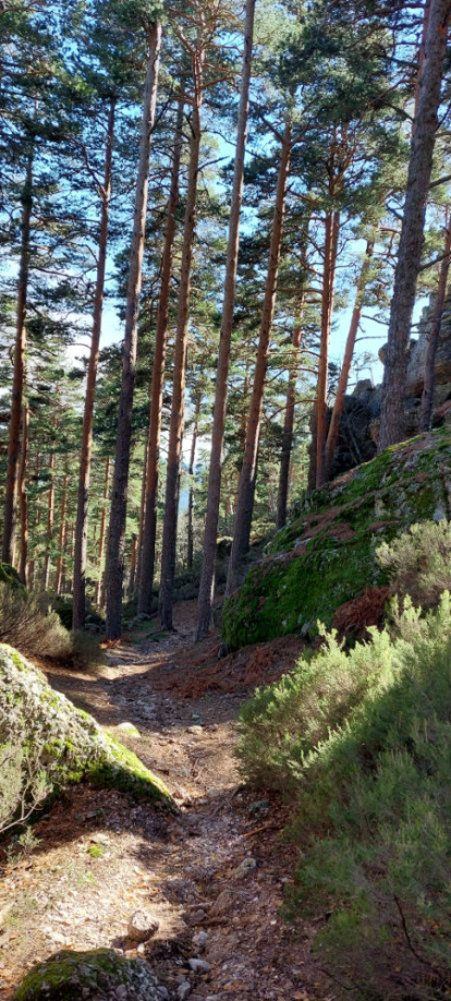 Ruta de las cascadas de Duruelo de la Sierra (Soria). HDS