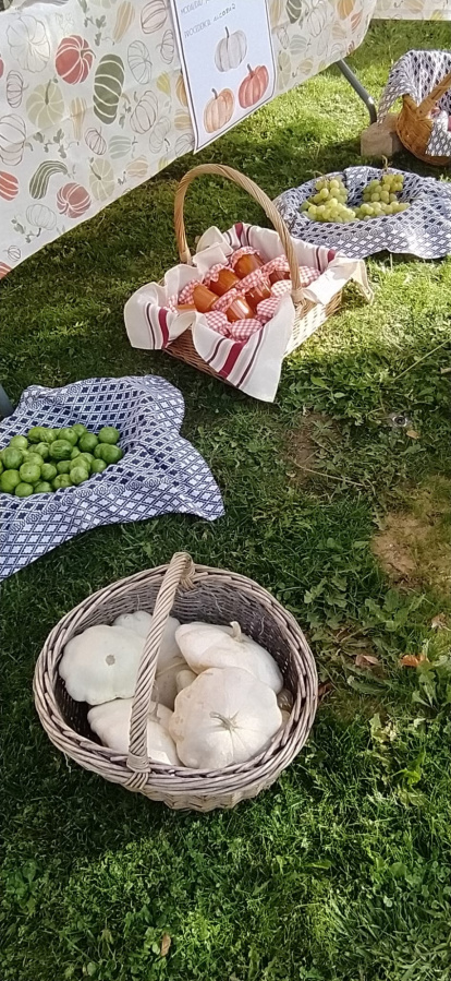 Concurso de calabazas en San Esteban.-A. H.