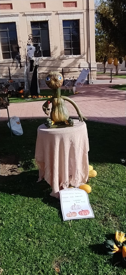 Concurso de calabazas en San Esteban.-A. H.