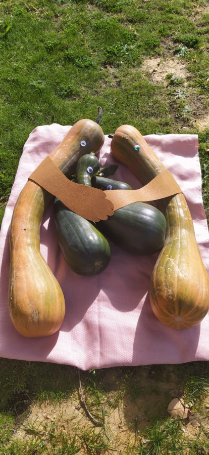 Concurso de calabazas en San Esteban.-A. H.
