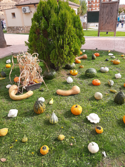 Concurso de calabazas en San Esteban.-A. H.