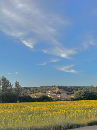 «Valdenebro: mi verano azul». CORAL PULGARIN MIRAS