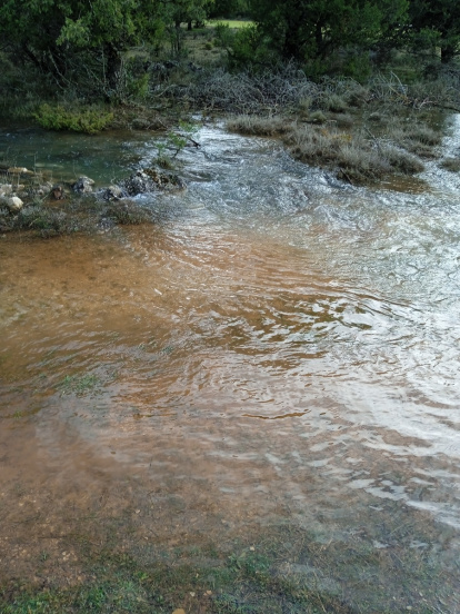 La Onseca, en Santa María de las Hoyas (Soria), vuelve a brotar gracias a las lluvias. HDS
