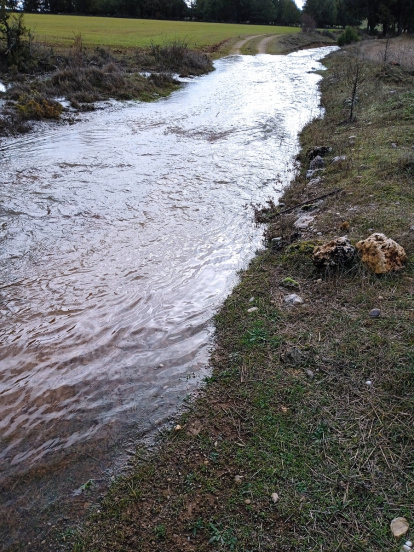 La Onseca, en Santa María de las Hoyas (Soria), vuelve a brotar gracias a las lluvias. HDS