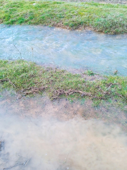 La Onseca, en Santa María de las Hoyas (Soria), vuelve a brotar gracias a las lluvias. HDS