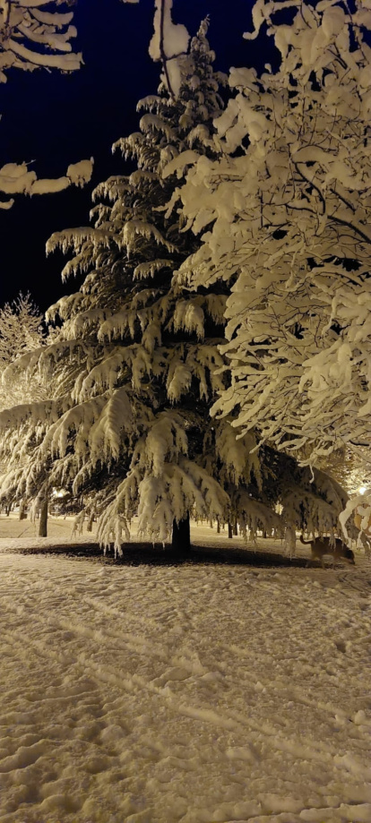 Las fotos de la Nieve en Soria. HDS