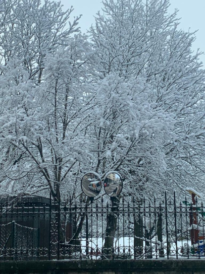 Las fotos de la Nieve en Soria. HDS