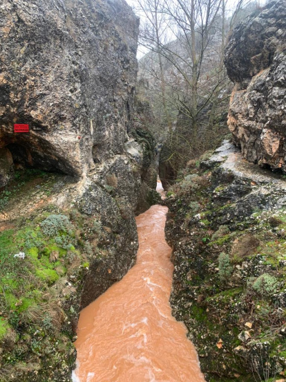 Crecida del río Lobos en el Cañón.-FÉLIX BARRIO