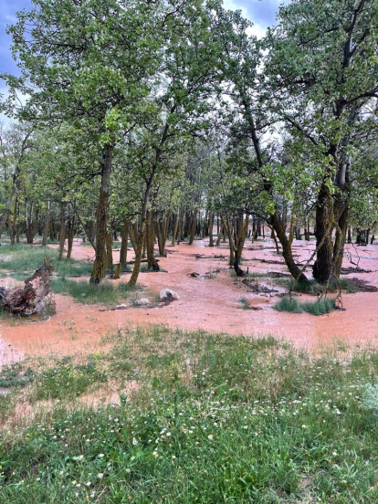 Nuevas fotos tras la tromba de agua en las Vicarías. - HDS