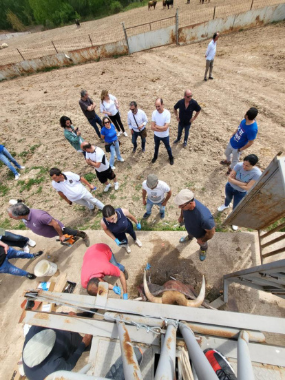Los toros de San Juan (7)