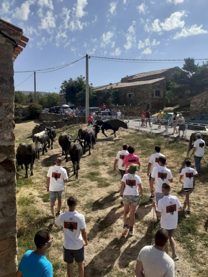 Trashumancia en Gallinero