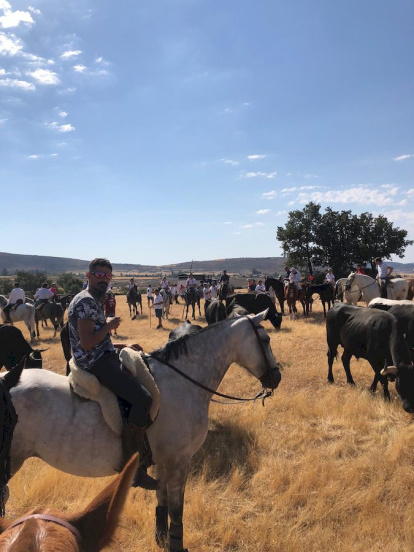 Trashumancia en Gallinero