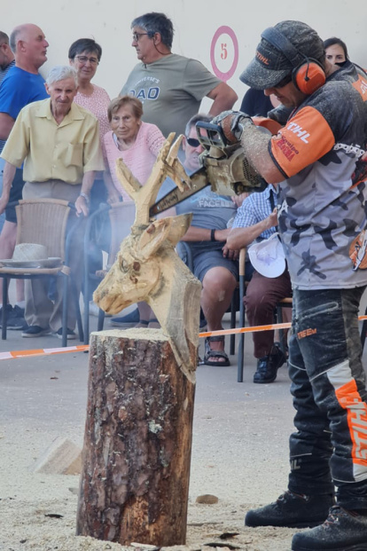 Tallaje en madera en Montejo de Tiermes