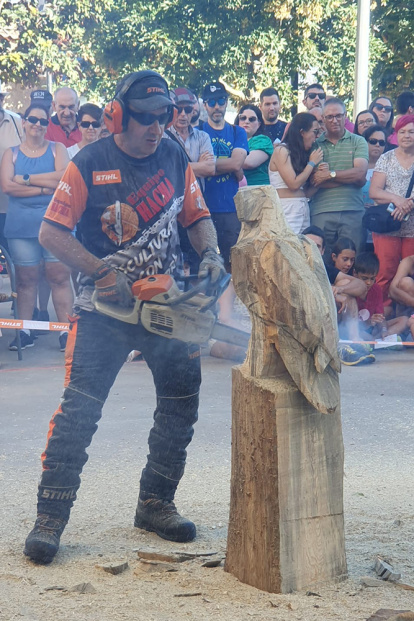 Tallaje en madera en Montejo de Tiermes