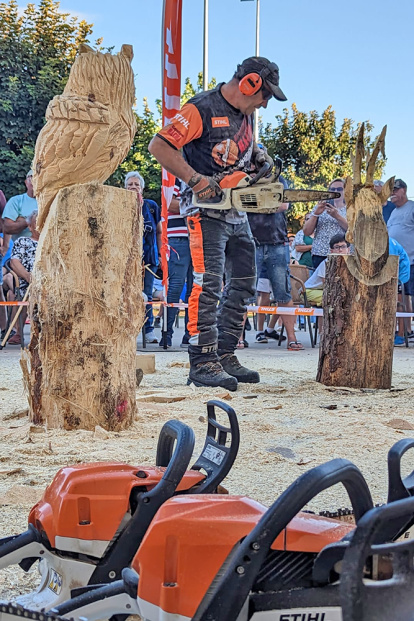 Tallaje en madera en Montejo de Tiermes