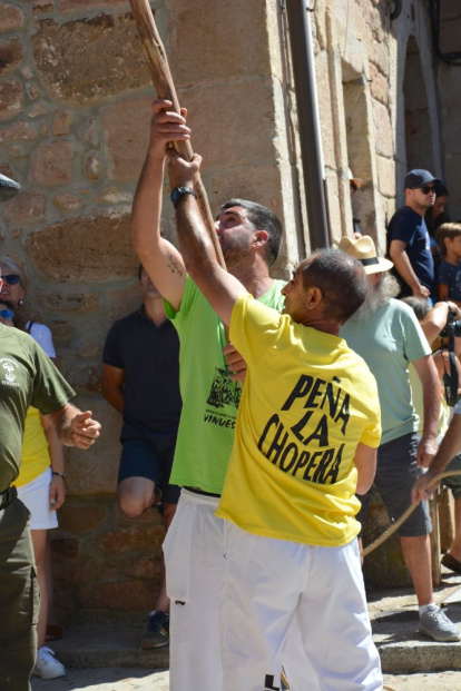 Pingada del Mayo en Vinuesa para iniciar las fiestas de 2023.