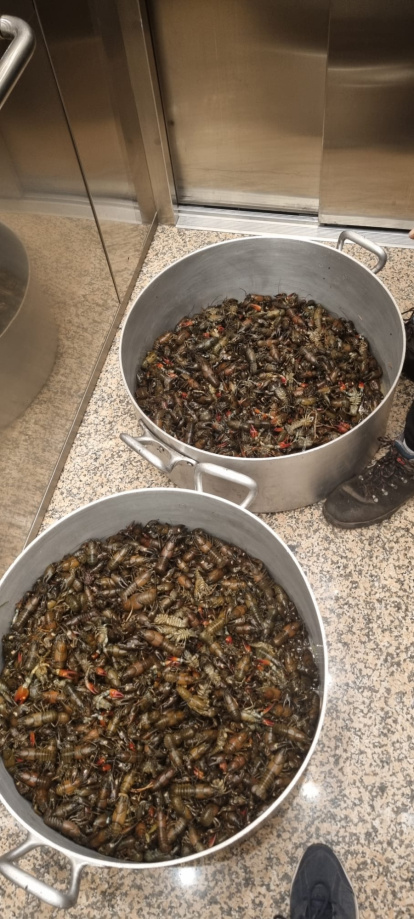 Duruelo de la Sierra celebró su primer Cangrejo Fest.