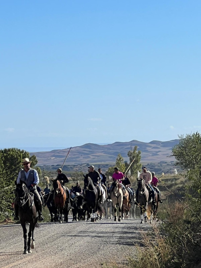 Ágreda celebra su Trashumancia.