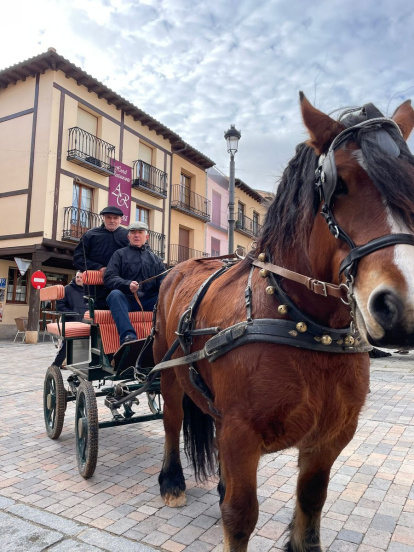La mítica feria de artesanía de Berlanga recupera su tradición de feria ganadera