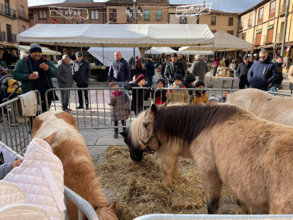 La mítica feria de artesanía de Berlanga recupera su tradición de feria ganadera